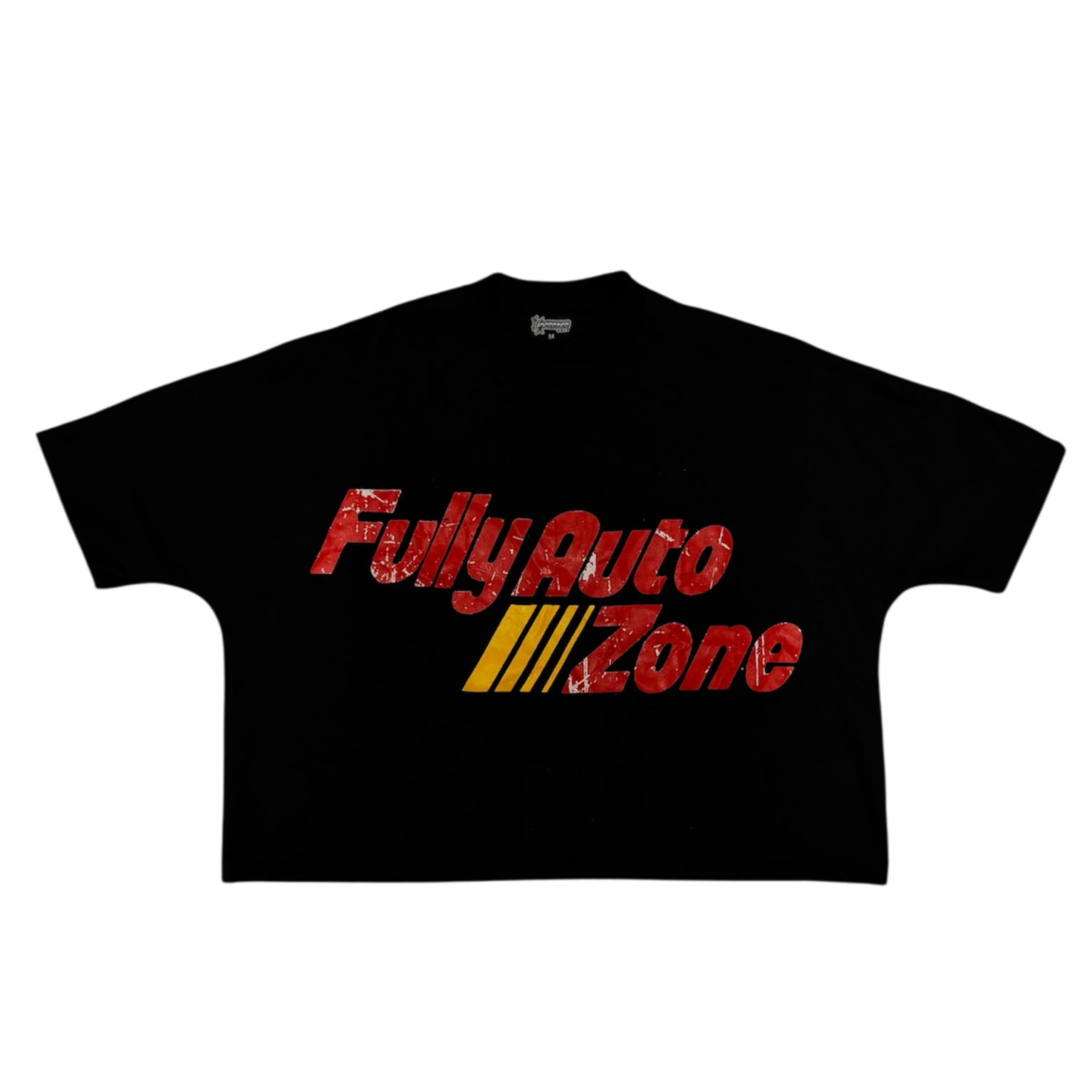 FULLY AUTOZONE